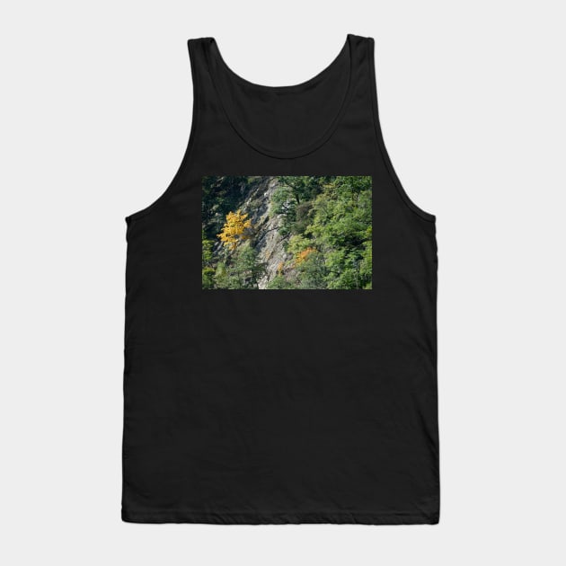 Bodetal, rock, cliff, cliff, Thale, Harz, Germany, autumn Tank Top by Kruegerfoto